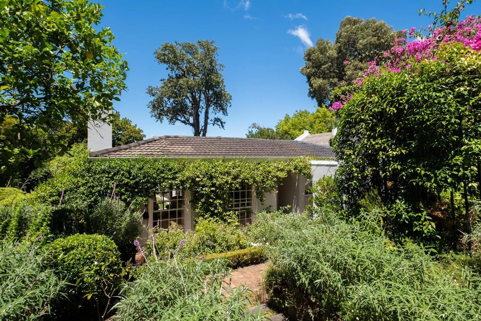 Soulful Newlands Retreat Villa Cape Town